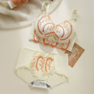পুশ আপ ব্রা পেন্টি সেট - Push Up Bra Panty Set